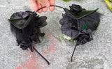 Black Cat Ears